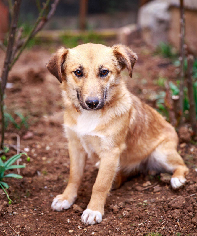 изображение_viber_2024-05-12_20-39-11-801