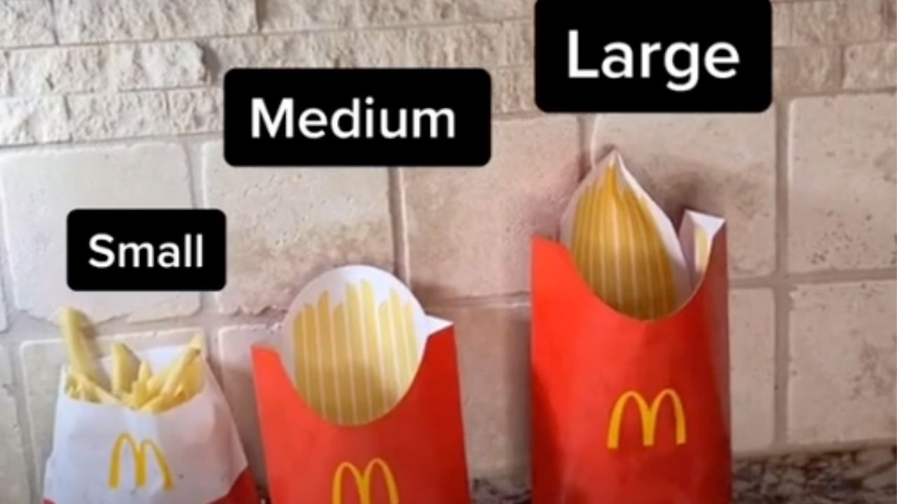Macdonalds the fries 🍟 packaging container is considered good value for ...