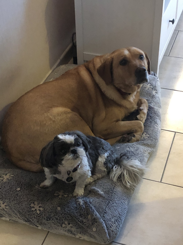 [Image: IMG-6947.jpg]