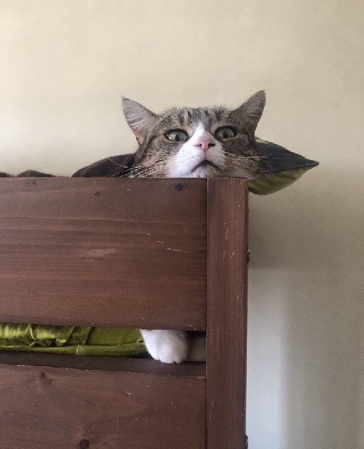 9427514-F-B330-42-F3-BCB4-9-DA5-B412-D77