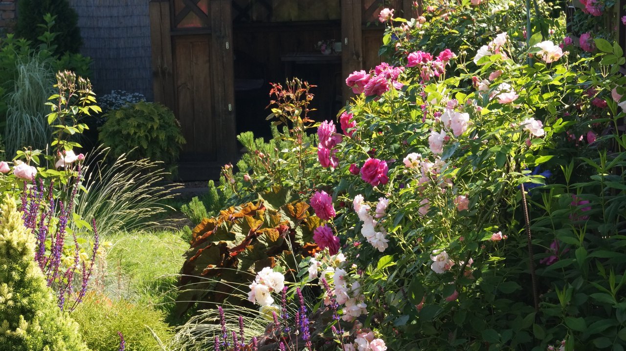 DSC03117