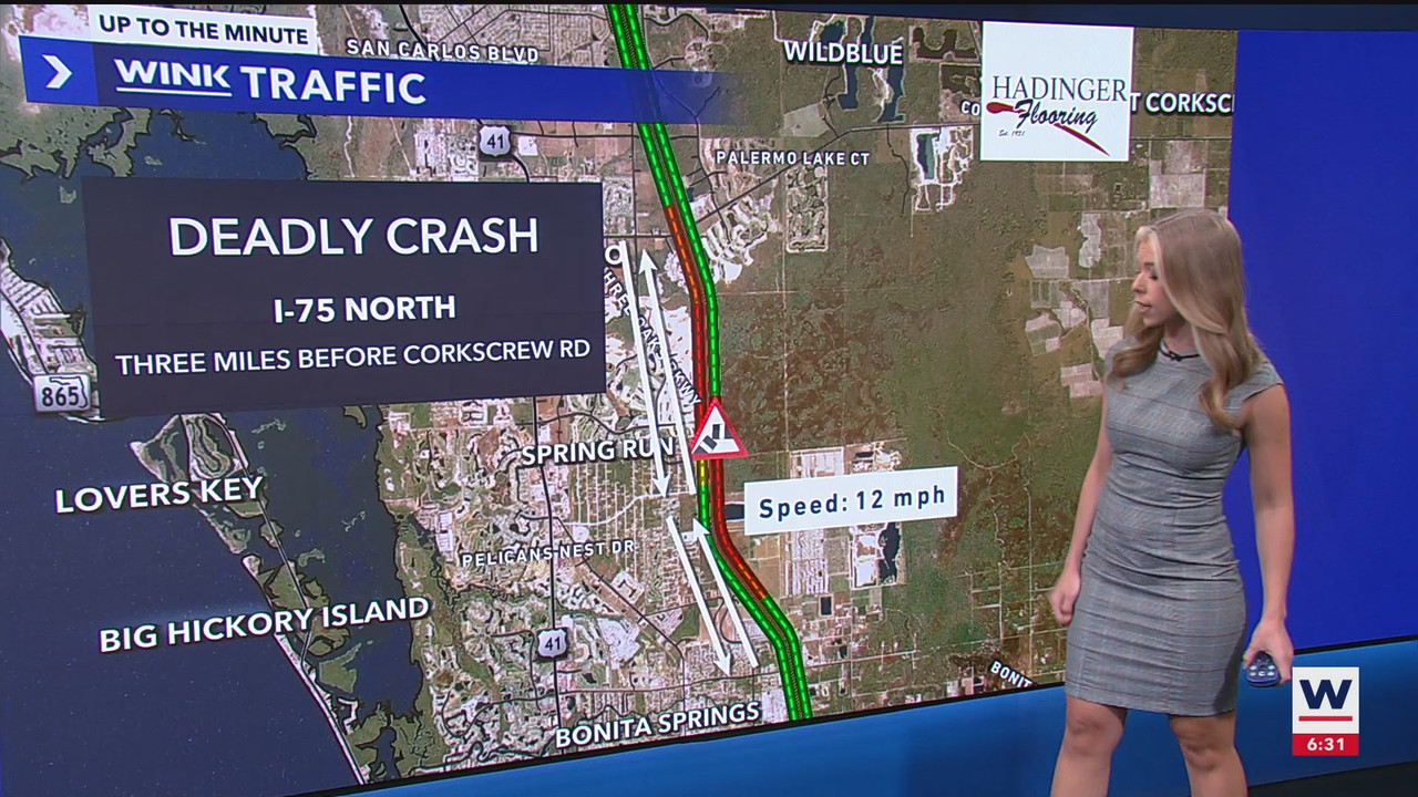 WINK News at 630am_20241101_10301100.ts_snapshot_02.38.912