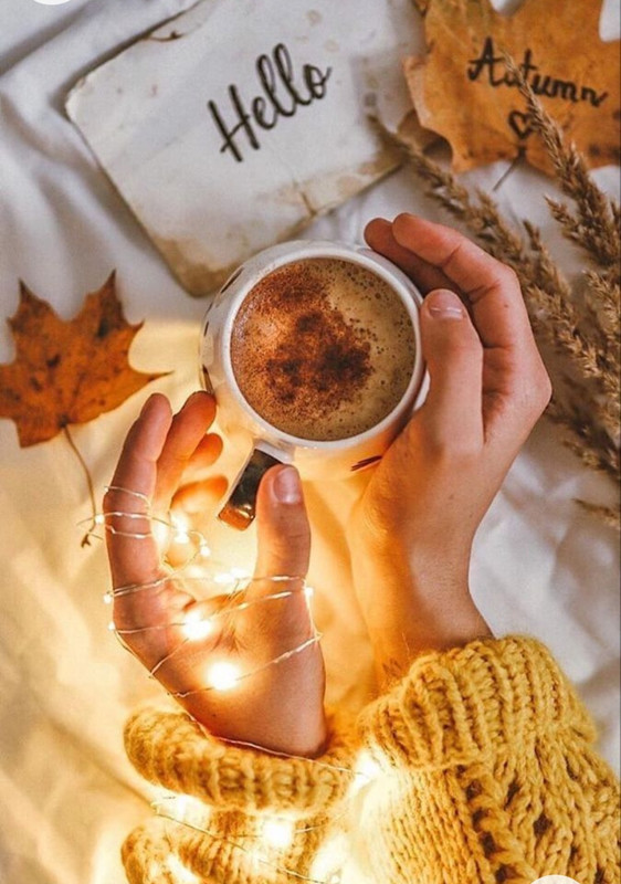 Screenshot_20221227_014835_Chrome