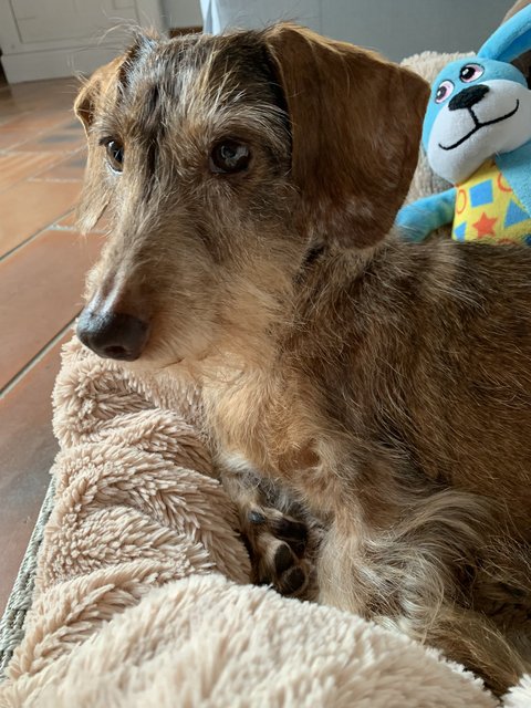 [Image: E38-E3721-AB73-4171-A420-C21-E6-C29130-C.jpg]