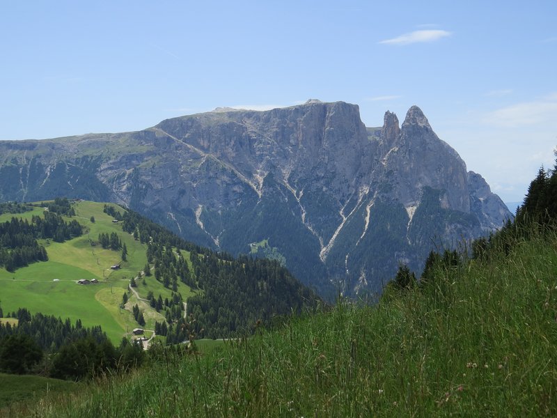 https://i.postimg.cc/WbWPXQZQ/260-IMG-0745.jpg
