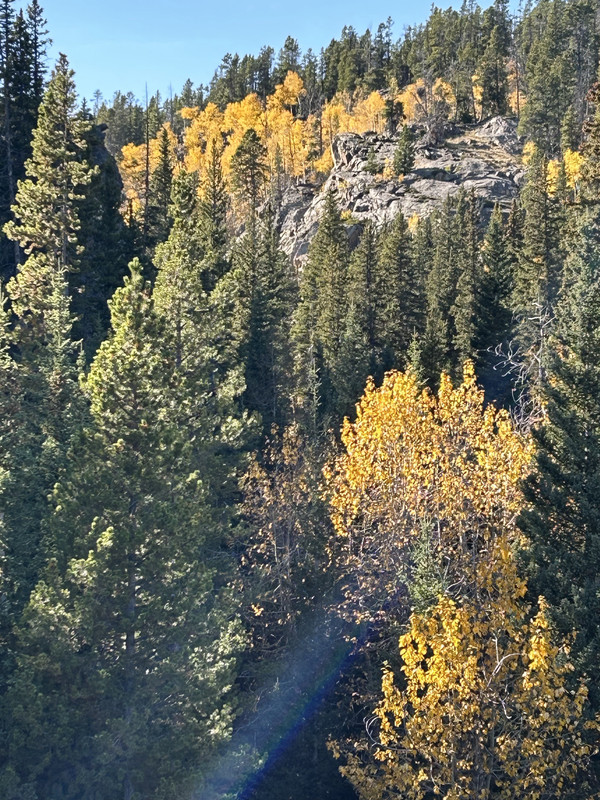 CC3A161D-B6AE-49E0-B531-D53E2406A433