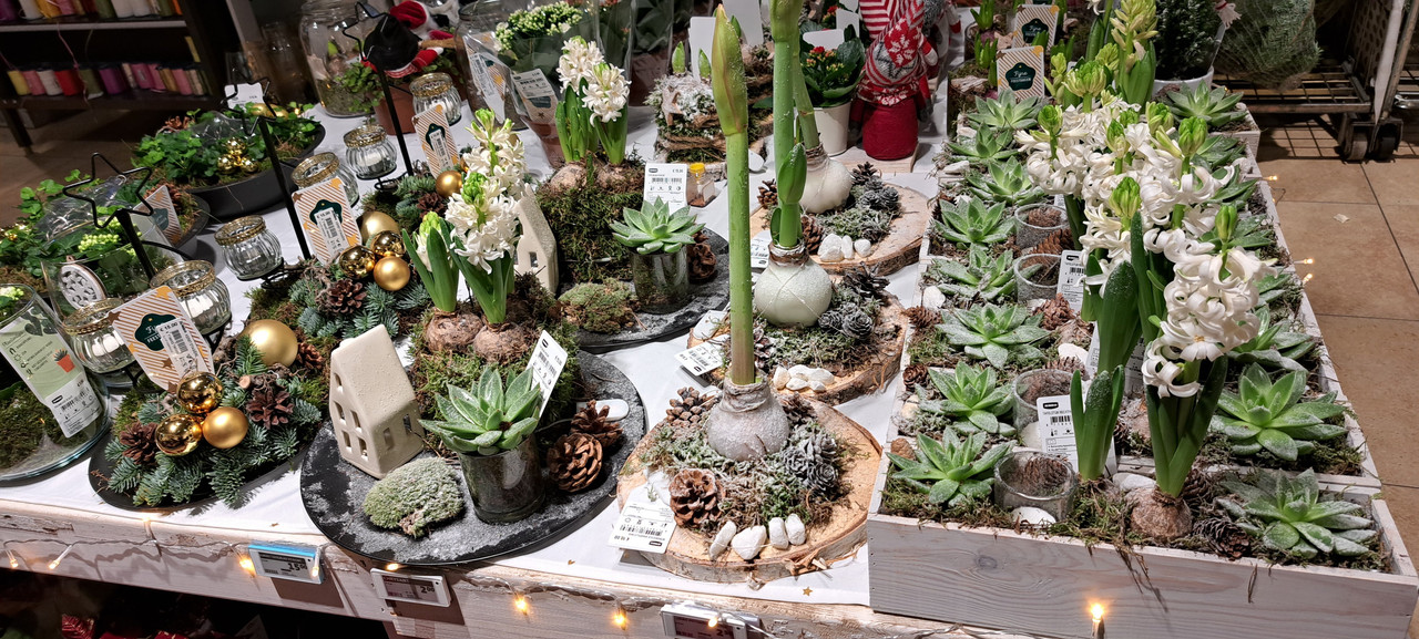 [Image: 20231205-161206.jpg]