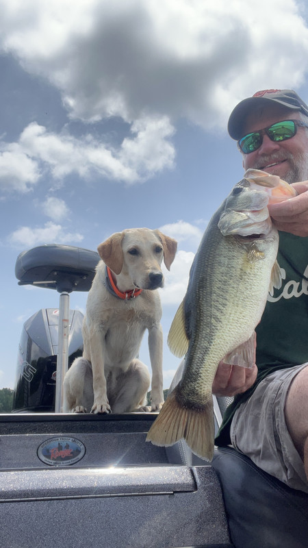 3069CBCA-BF5A-444D-A911-4F460F452F2F