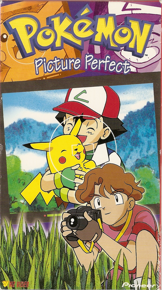 Picture Perfect