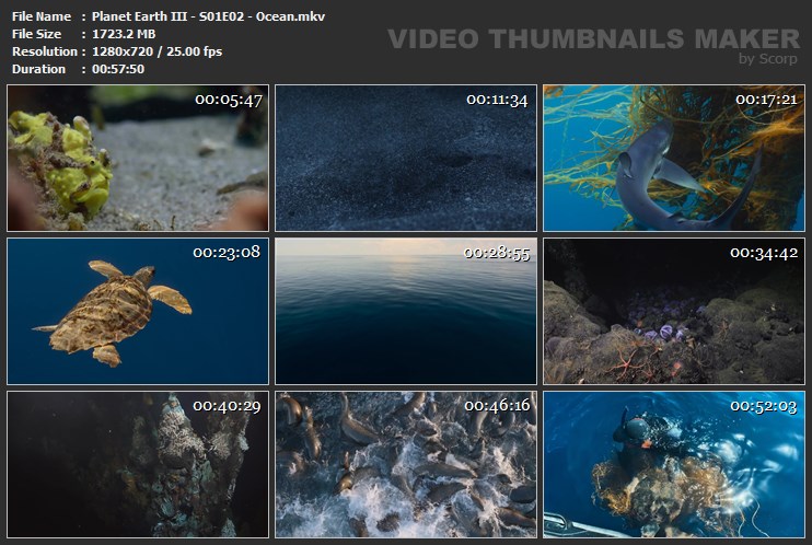 Planet Earth III - S01E02 - Ocean.mkv