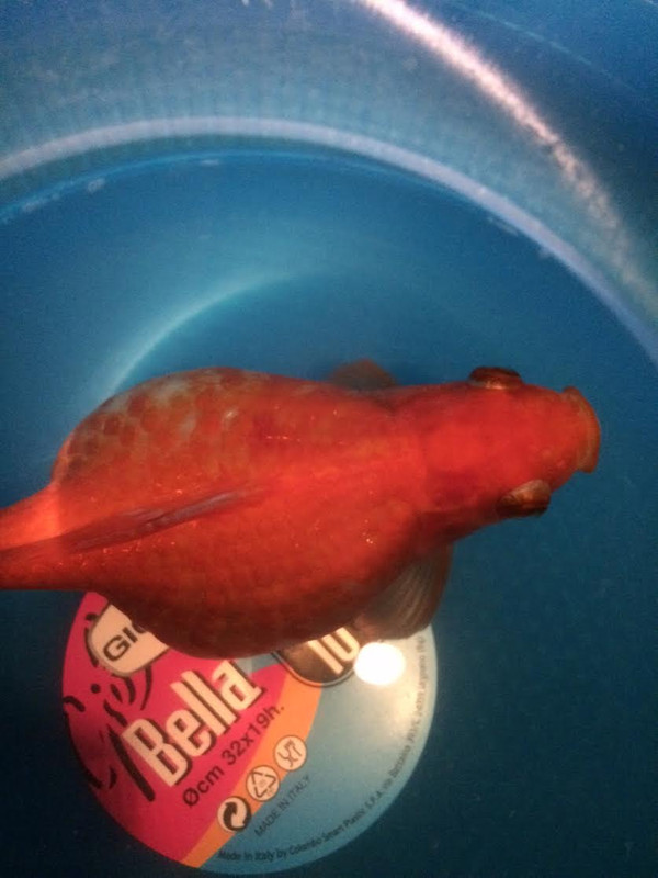 nEFZGjiT_MW9gvcJfPEzp-_PasMvn-tbKnGFSvkqA75NTToV