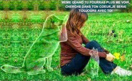 [Image: 1450915-977075925637844-443427009368642663-n.jpg]