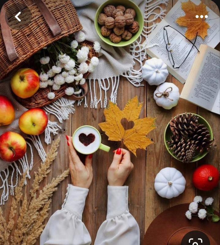 Screenshot_20230905_013815_Pinterest