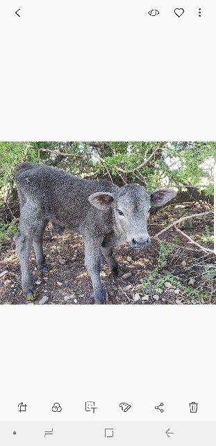 Screenshot_20191224-053509_Gallery