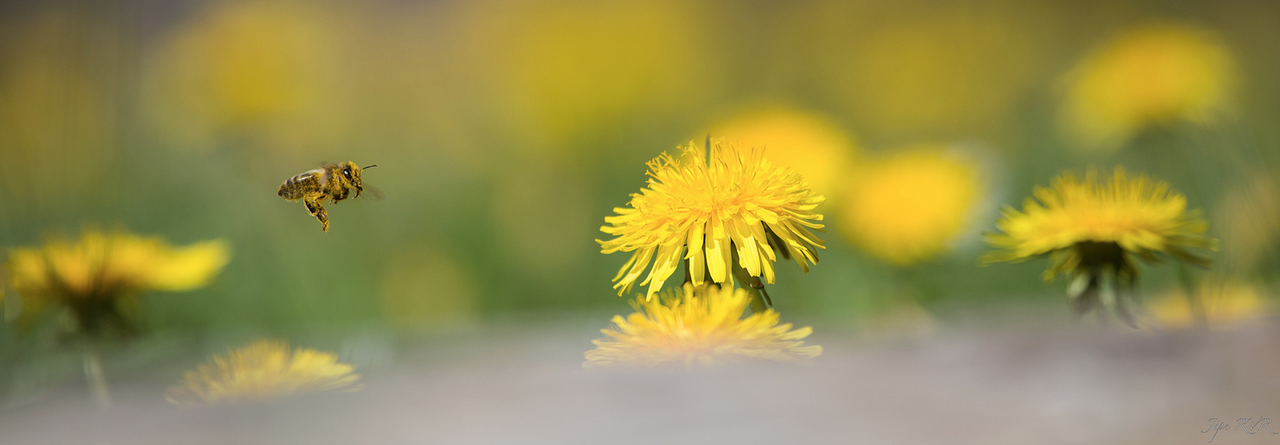 Capture d’écran 2017-04-26 ? 20.14.51
