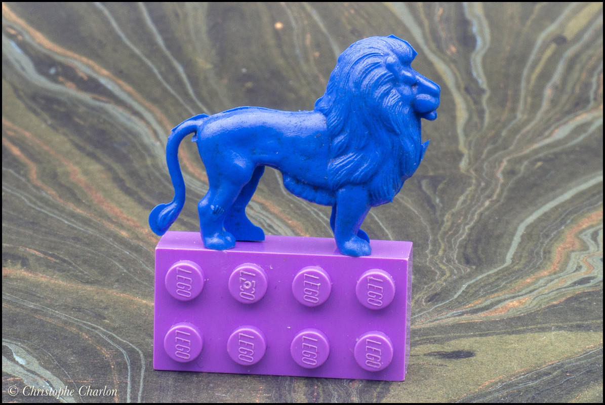 Back in CCCP: A blue savannah and other rubber animals CCCP-Lion-1