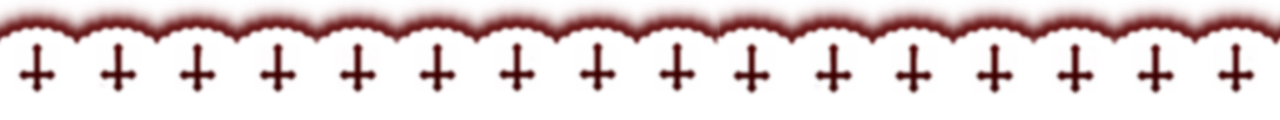 241