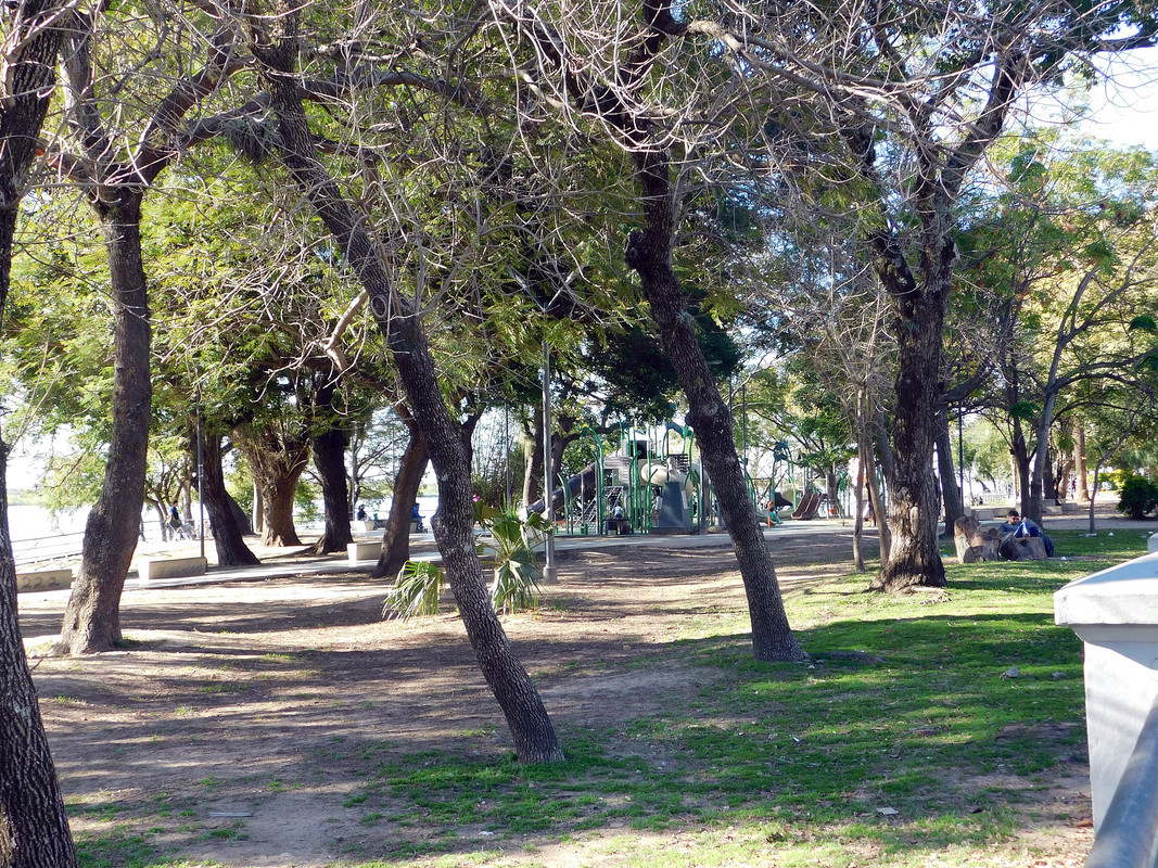 DSCN0551.jpg