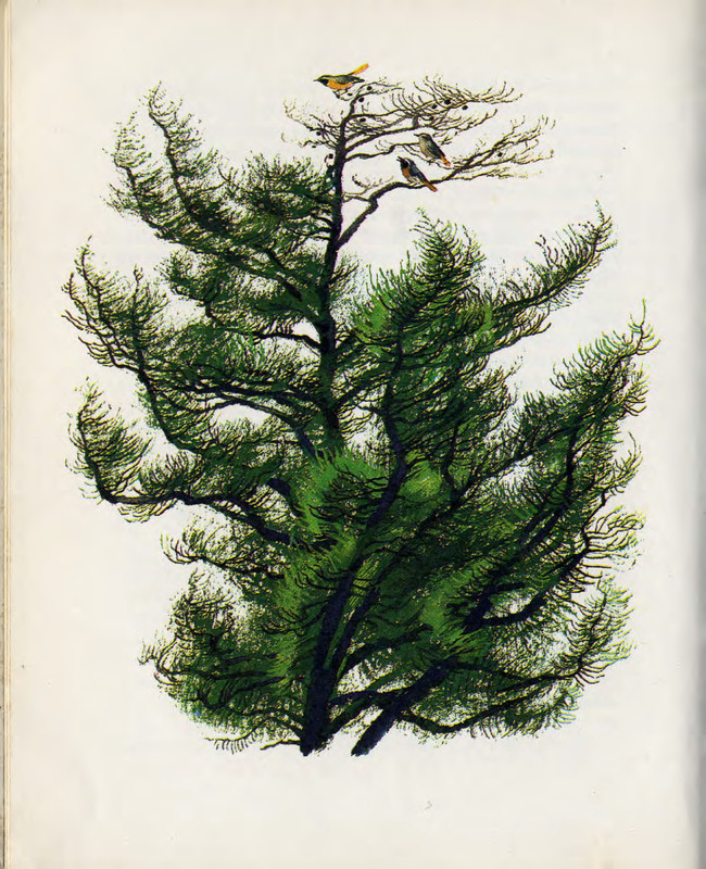 p0008