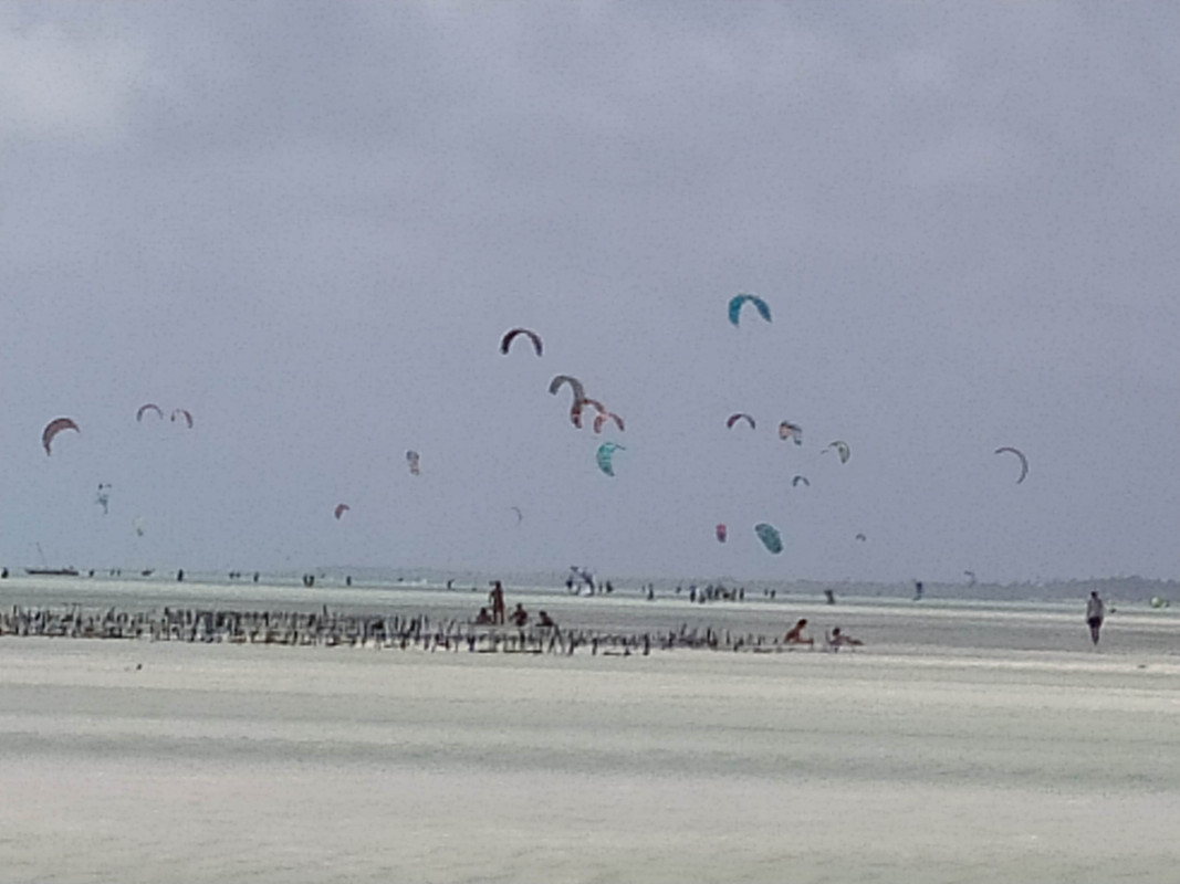IMG-20210131-103712.jpg