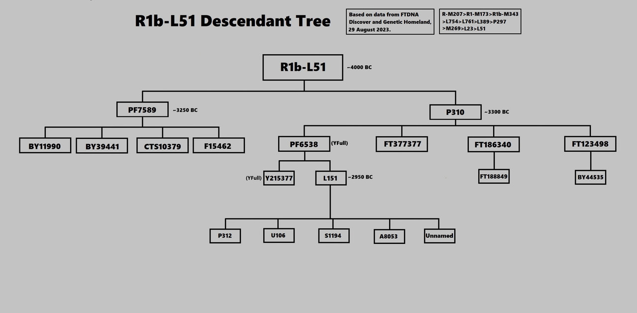 R1b L51 Descendant Tree — Postimages