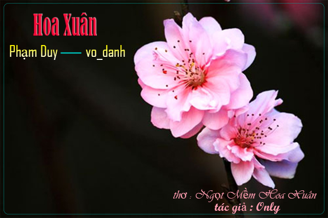 [Image: hoa-xuan.jpg]