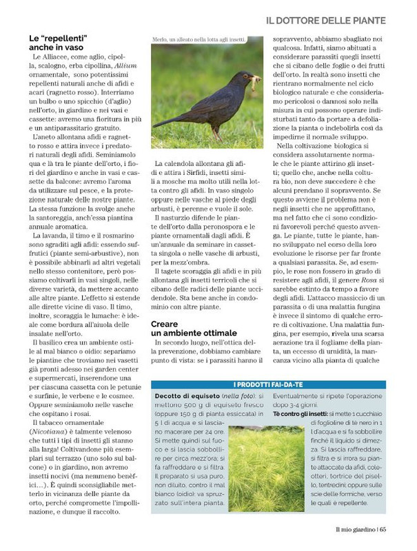 Il Mio Giar GIu-Lug 2022 (12)