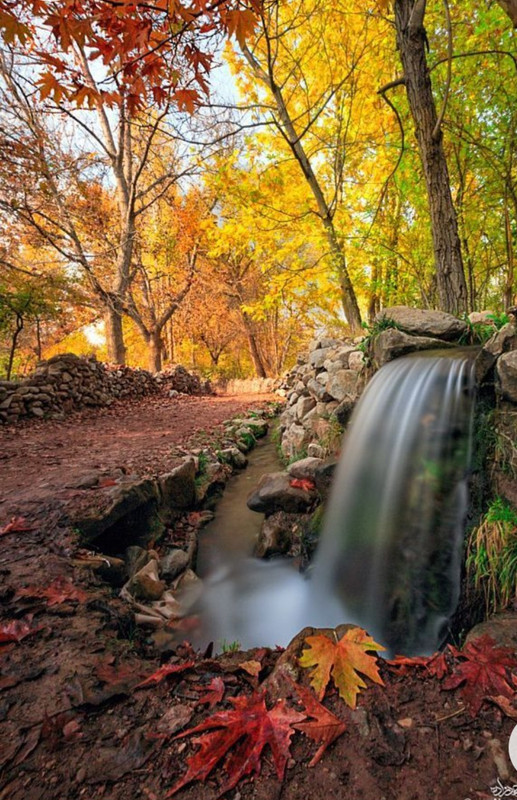 Screenshot_20230129_002634_Chrome