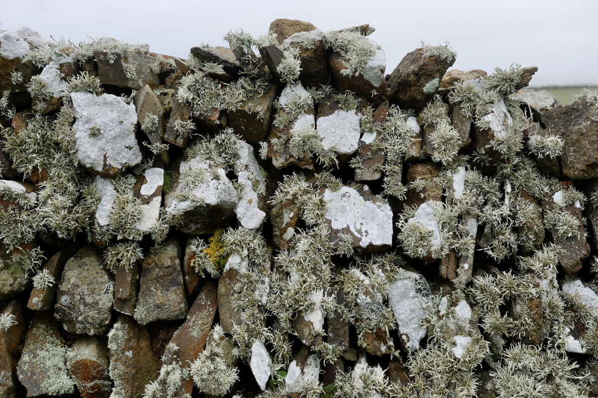 D0A5688C-CFB6-4282-9846-8C5CAF3846BE