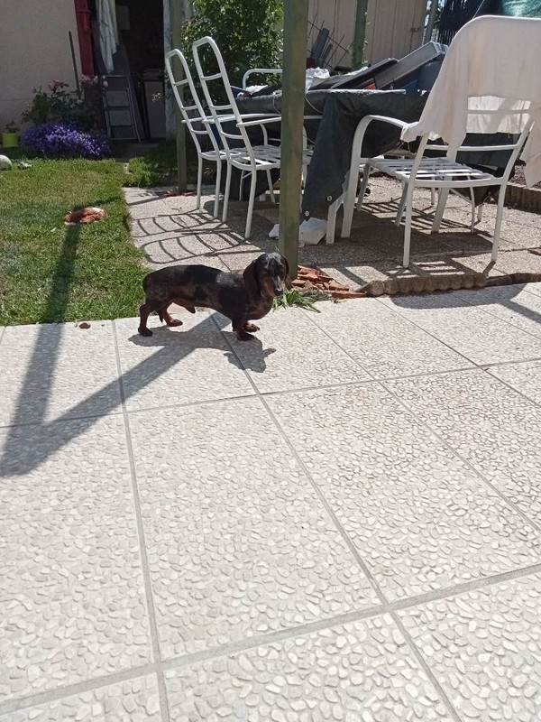 [Image: IMG-20250525-214856.jpg]