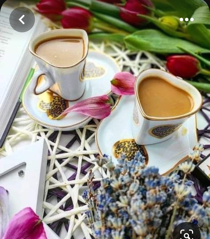 Screenshot_20230731_235710_Pinterest