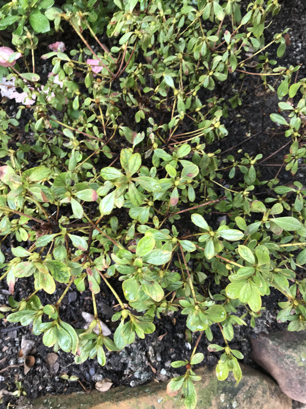 F8867B74-583B-44B8-AAE6-02FA2961CEA7