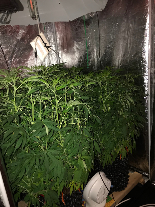 22A72028-9FBF-44FA-BDE2-727EECE48BC6