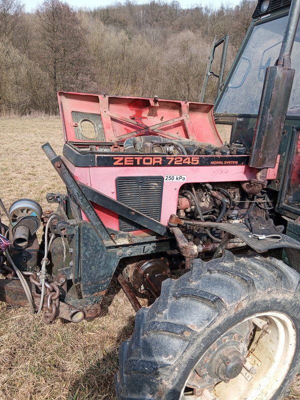 IMG 20260310 113540 954