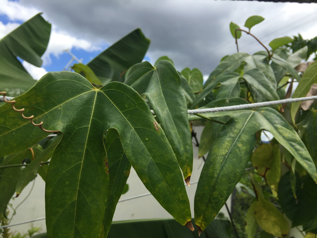 CE290E75-24ED-490F-86A6-B7672CC4F637