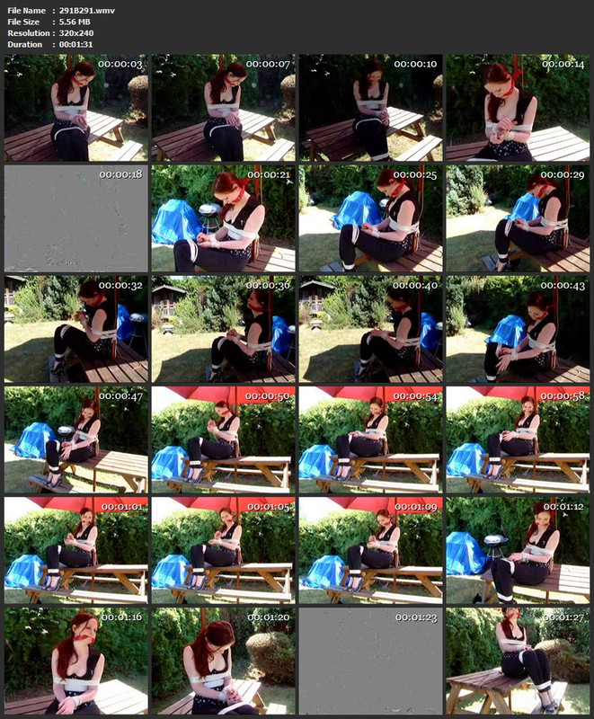 291B291.wmv