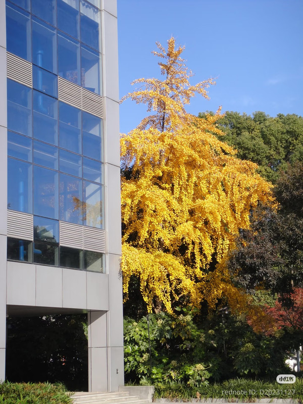 photo 5 2025 12 14 22 29 25