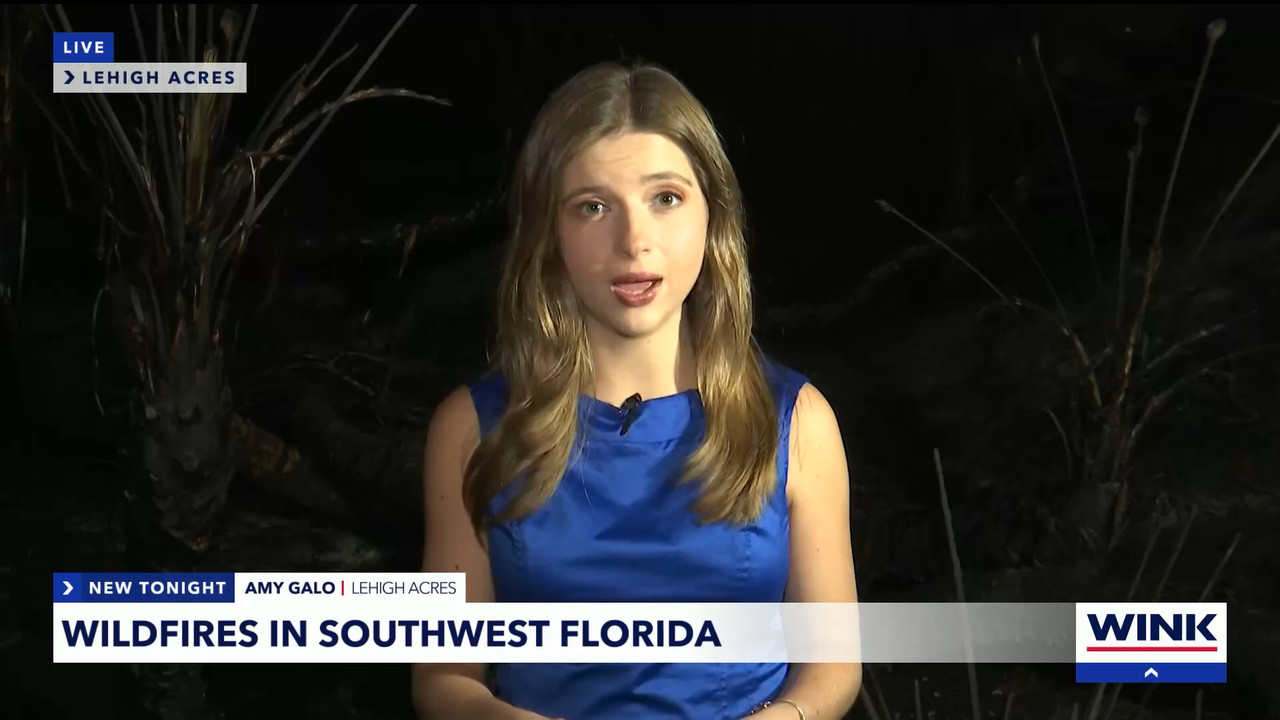 04.11 - 04.00.01 - WINK News at 11  ᴺᵉʷ. Local and regional news..ts_snapshot_16.42.682