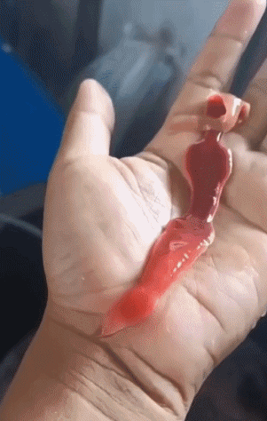 GIF-07-08-2023-20-10-35.gif