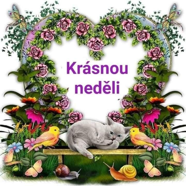 65676b82df8a7946021561661c76df02