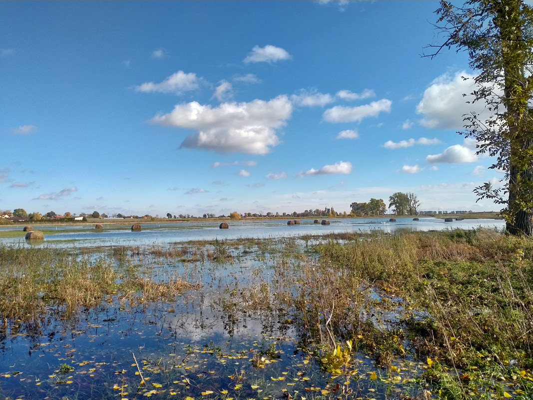 040 - IMG20201024133926