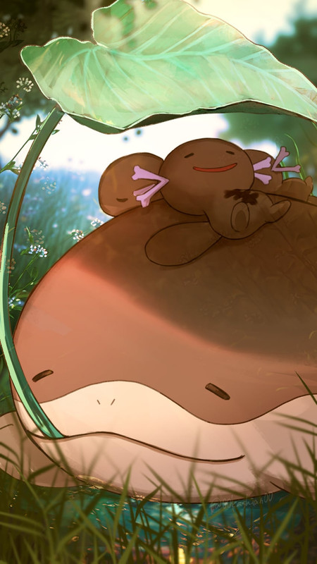 clodsire-and-paldean-wooper-pokemon-draw