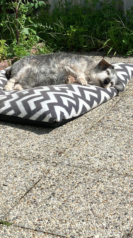 [Image: IMG-7188.jpg]