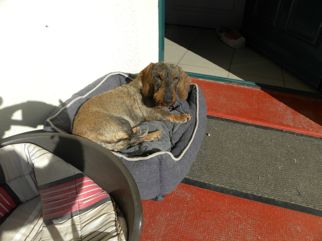 [Image: DSCN9735.jpg]