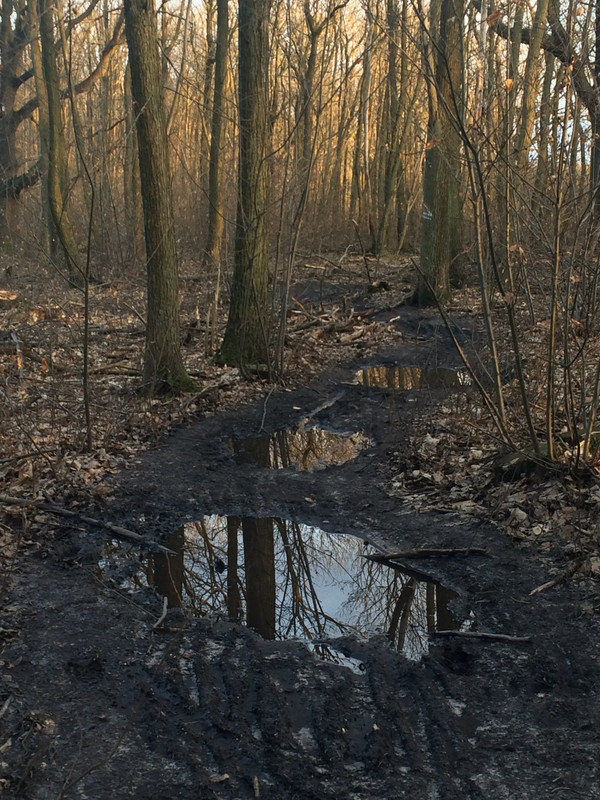 03500A8E-FA0D-458B-BFE6-78F175763108