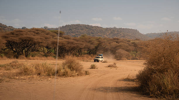 safaris Tanzania