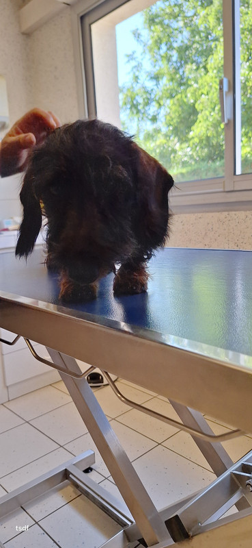 [Image: 20250708-175529.jpg]