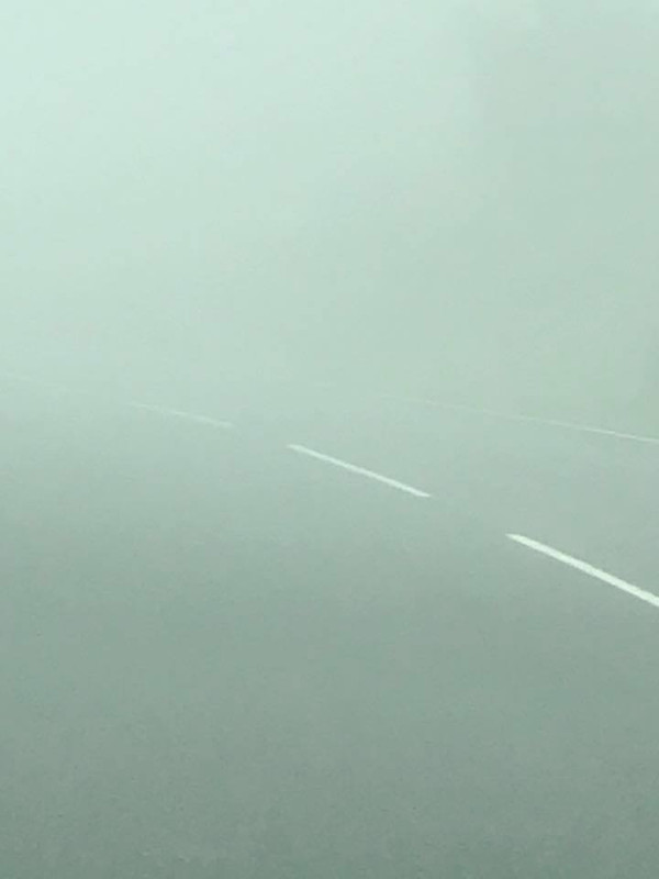 39565485_10212264233586551_7481349132846628864_n