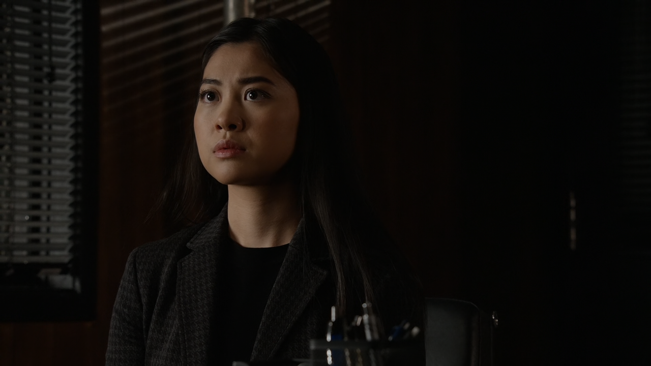 The.Blacklist.S09E18.Laszlo.Jankowics.1080p.10bit.AMZN.WEB-DL.DDP5.1.HEVC-Vyndros.mkv_snapshot_30.31