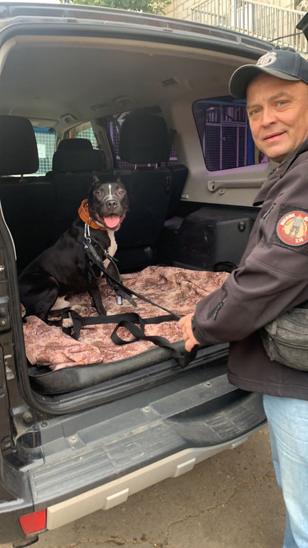 E62C4BDE-6AA7-48DE-8910-56E8936285E7